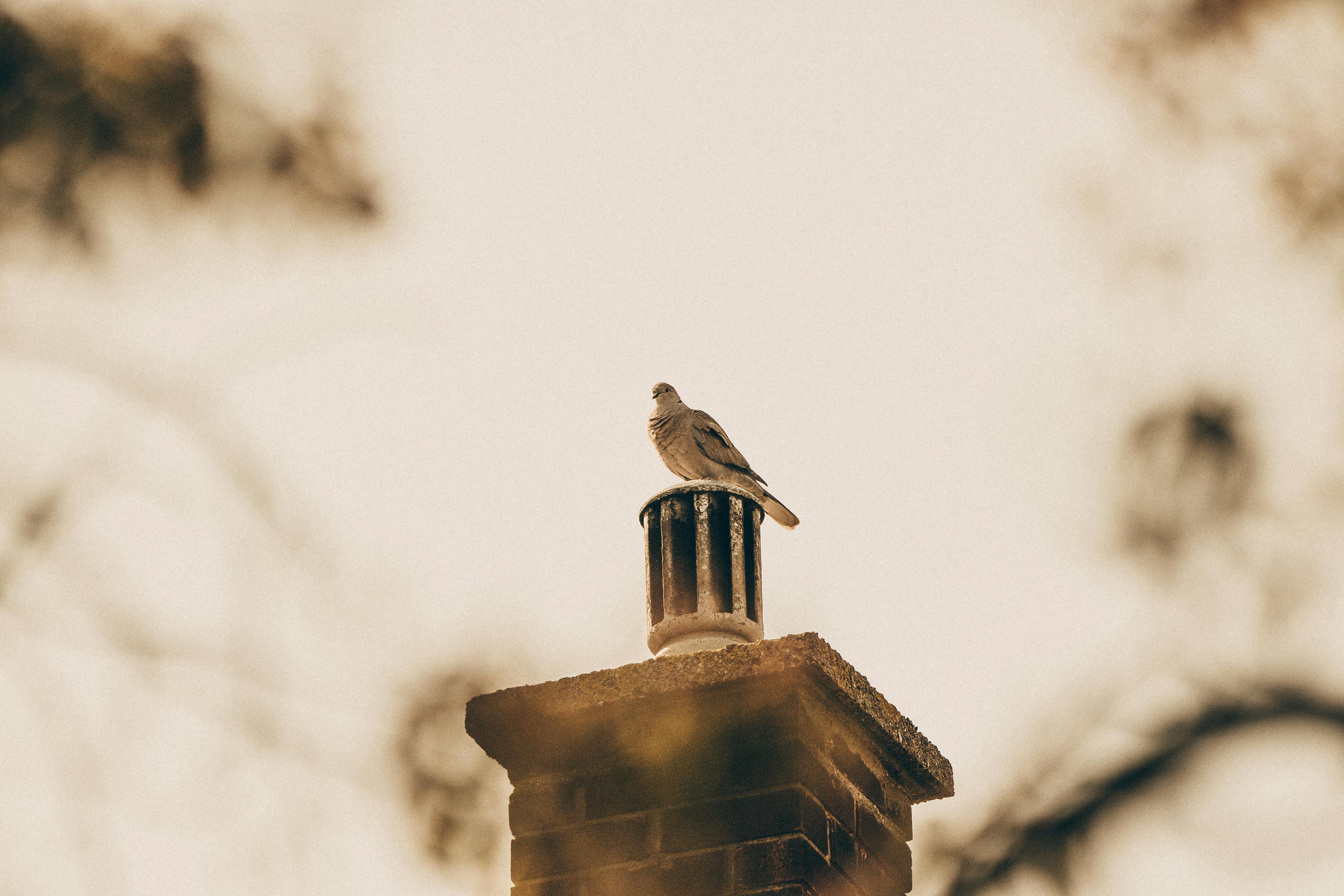 Professional Chimney Cap Installation Services in Highland Beach, FL Expert Chimney Cap Installation in Highland Beach, Florida